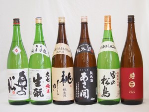 東北勢日本酒6本セット(あさ開 昭和旭蔵 純米(岩手県) 奥の松 特別純米(福島県) 大七 生もと 純米(福島県) 南部美人 特別純米(岩手県) 桃