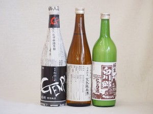 選りすぐり地酒3本セット(厳封 特別純米 ひやおろし低温貯蔵完熟純米 白川郷にごり純米(岐阜県)) 720ml×3本