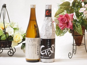 選りすぐり地酒2本セット(厳封 特別純米 ひやおろし低温貯蔵完熟純米) 720ml×2本