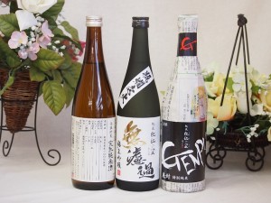 選りすぐり地酒3本セット(厳封 特別純米 ひやおろし低温貯蔵完熟純米 無濾過 純米吟醸) 720ml×3本