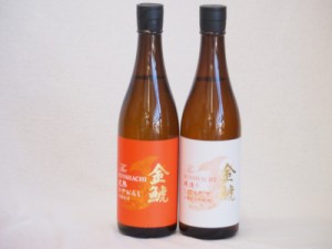 年一度の限定日本酒 金鯱2本セット(夢吟香100%完熟ひやおろし本醸造 夢吟香100%寒造りしぼりたて本醸造生貯蔵) 720ml×2本