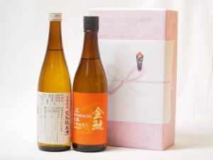 年に一度の醸造日本酒贈り物2本セット(ひやおろし低温貯蔵完熟純米 金鯱 完熟ひやおろし本醸造) 720ml×2本