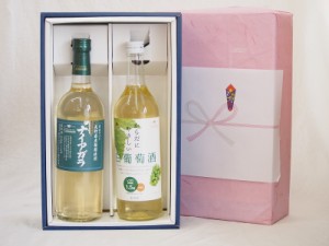 父の日 感謝贈り物白ワインボックス2本セット(からだにやさしい白葡萄酒白ワインやや甘口 長野県産 ナイアガラ 白ワイン) 720ml×2本