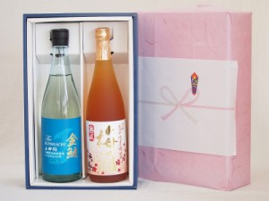 父の日 贈り物感謝ボックス2本セット(金鯱 山田錦吟醸原酒生貯蔵 高千穂産熟成梅酒(宮崎県)) 720ml×2本