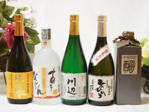 厳選熊本県米焼酎5本セット(あそびじん阿蘇美人 純米焼酎 しゃくエクセレンス 樫樽貯蔵 米焼酎 35度 純米焼酎 川辺 常圧蒸留 ひのひかり 