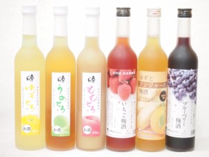 【福袋】 お酒が苦手な方でも美味しく飲める飲み比べ(ゆずとろ うめとろ ももとろ いちご梅 ゆずとジンジャー梅 ブルーベリー梅)500ml×6