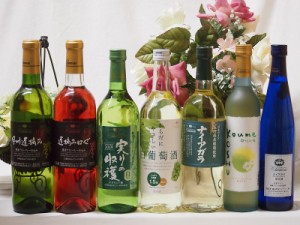 シャンモリスペシャル7本甘口ワインセット 国産ぶどう100％使用 720ml×5本 500ml×2本 盛田甲州ワイナリー(山梨県) 