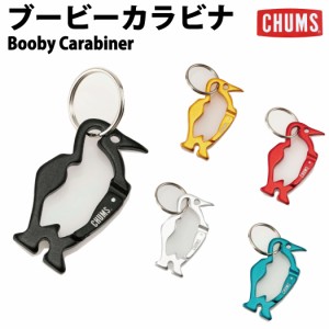 Chums Carabiner Keychain