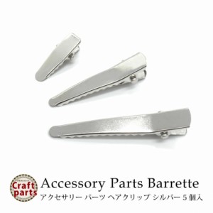 アクセサリー パーツ ヘアクリップ シルバー 小 5個入り