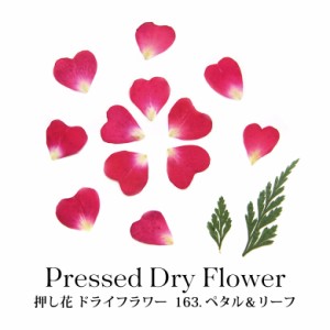 押し花 ドライフラワーの通販 Au Pay マーケット