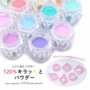 レジン 封入 パウダー 120％ キラッとパウダー ケース入り 全12色 ホログラムの特別おまけ付き