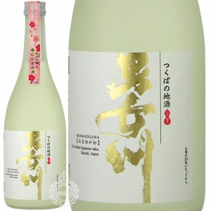 【新酒 2024年2月入荷品】 男女川 みなのがわ 純米吟醸 春のかすみ酒 生酒 稲葉酒造 720ml 瓶 【数量限定】【クール便配送】