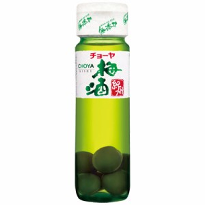 チョーヤ梅酒 紀州 きしゅう 梅の実入り リキュール 本格梅酒 720ml 瓶