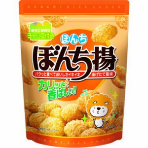 ぼんち揚 チャック付 1箱100g12袋入