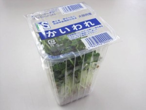 日常の一般野菜 かいわれだいこん 1パック