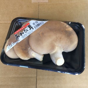 日常の一般野菜 あわび茸 1パック