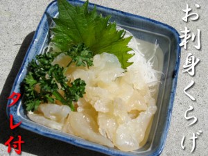 お刺身くらげ 500g (固形量250) 中外フーズ