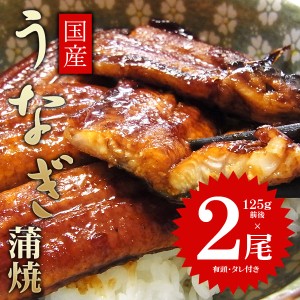 国産 うなぎ 蒲焼(有頭)２尾（125ｇ×2尾）セット 送料無料