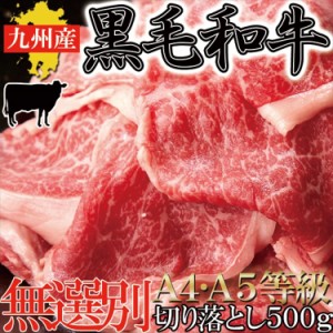 プレミアム認定のお店！ 肉 絶品霜降ブランド牛☆九州産黒毛和牛A4・A5等級【無選別】切り落とし500g/送料無料/冷凍A