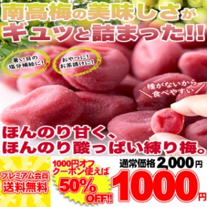 南高梅の美味しさがギュッと詰まった!!【大容量】やわらか練り梅200g ネコポス pre