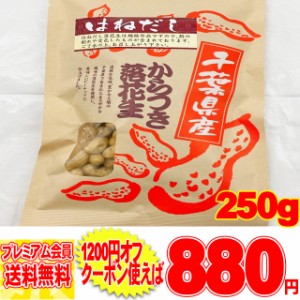 【訳あり】はねだし 規格外品 落花生 千葉県産 からつき落花生 250g 千葉豆乃華 ピーナッツ メール便  pre