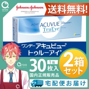 送料無料 ワンデーアキュビュートゥルーアイ ワンデー 30枚×2箱 ジョンソンエンドジョンソン J&J 使い捨て