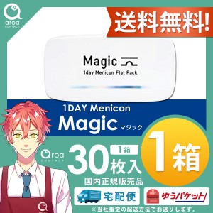 マジック Magic メニコンワンデー フラットパック 30枚×1箱 MENICON 送料無料 使い捨て ポスト投函商品