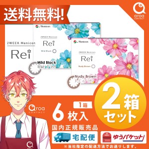 カラコン メニコンrei 2week 6枚入2箱 コンタクトレンズ レイ 送料無料