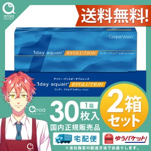 送料無料 ワンデー アクエア エボリューション 30枚×2箱 1day コンタクトレンズ  クーパービジョン バイオメディックス EV　使い捨て