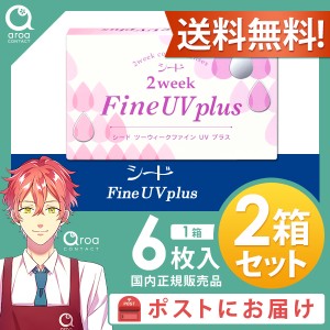 送料無料 2ウィークファインUV 2ウィークプラス 6枚×2箱 シード SEED 使い捨て ポスト投函商品