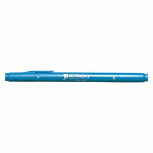 （まとめ買い）トンボ鉛筆 水性サインペンプレイカラー2 薄青緑 WS-TP 44 ウスアオミドリ 00031287 〔10本セット〕