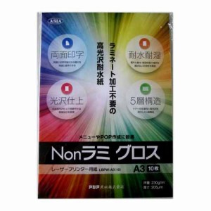 アジア原紙 Nonラミグロス(レーザープリンター用・ LBPW-A3(10) 00028195