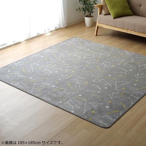 ラグ カーペット ホットカーペットカバー 『WSミリオン　RUG』グレー約200×250cm 9809982 