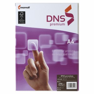 【メール便発送】伊東屋 コピー用紙 DNS premium A4 250g/m2 25枚 DNS105