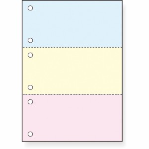 ナカバヤシ カット帳票 3分割 6穴 カラー1000枚 BMP-E03HC