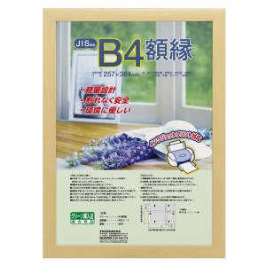 ナカバヤシ 樹脂製軽量額縁 木地 B4 フ-KWP-56