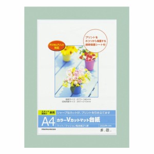 ナカバヤシ カラーVカットマット台紙 A4 グリーン DGVM-A4-G/V