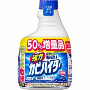 花王 強力カビハイター つけかえ用 600mL