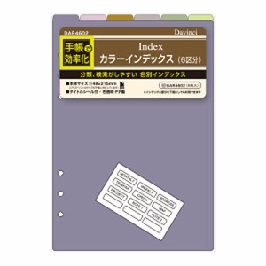 （まとめ買い）レイメイ藤井 ダヴィンチ リフィル A5 カラーインデックス DAR4602 〔×5〕