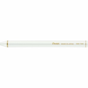 （まとめ買い）ぺんてる ヴィスタージュ 水彩色鉛筆 水彩スティック ホワイト GSS-T300 〔10本セット〕