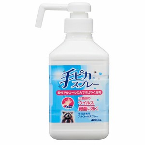 健栄製薬 手ピカスプレー スプレー付き ポンプ式 420mL 415420 指定医薬部外品