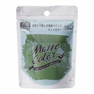 アサヒペン 水性塗料 水性多用途ペイントマットカラー 55ml オリーブグリーン