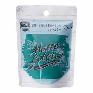 アサヒペン 水性塗料 水性多用途ペイントマットカラー 55ml ビリヤードグリーン