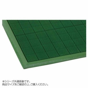 アウトドアマット　からくさマット　小　緑　45×60cm 【北海道・沖縄・離島配送不可】