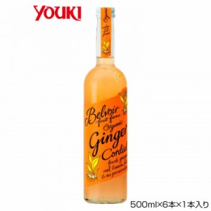 YOUKI ユウキ食品 業務用 有機コーディアル ジンジャー 500ml×6本×1本入り 212951 【北海道・沖縄・離島配送不可】