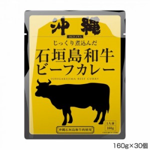 沖縄北谷自然海塩 沖縄石垣島和牛ビーフカレー 160g×30個 P7 【北海道・沖縄・離島配送不可】