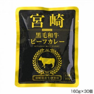 一 はじめ 宮崎黒毛和牛ビフーカレー 160g×30個 P10 【北海道・沖縄・離島配送不可】