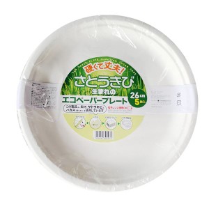 〔10個セット〕 大和物産 エコペーパープレート 26cm 5枚入