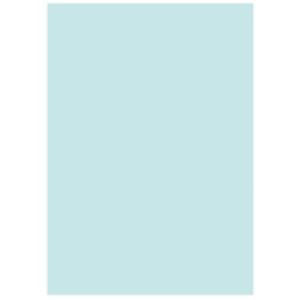 北越製紙 カラーペーパー/リサイクルコピー用紙 〔A5 500枚×10冊〕 日本製 ブルー(青)