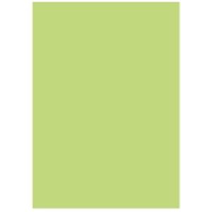 北越製紙 カラーペーパー/リサイクルコピー用紙 〔A5 500枚×10冊〕 日本製 グリーン(緑)